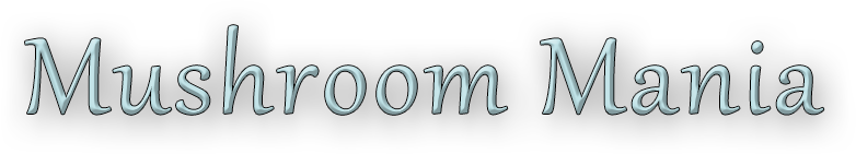 [C] Animesh